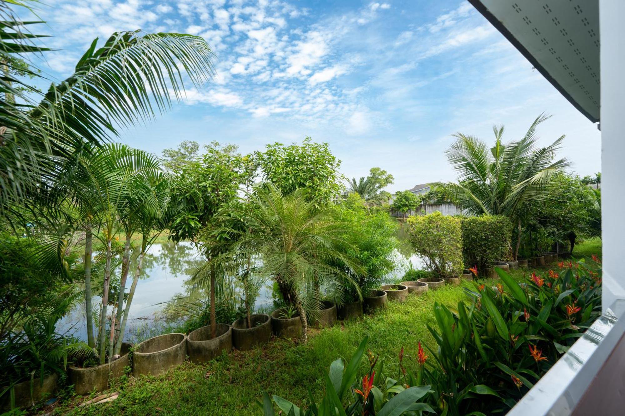 Elm Pool * Thalang